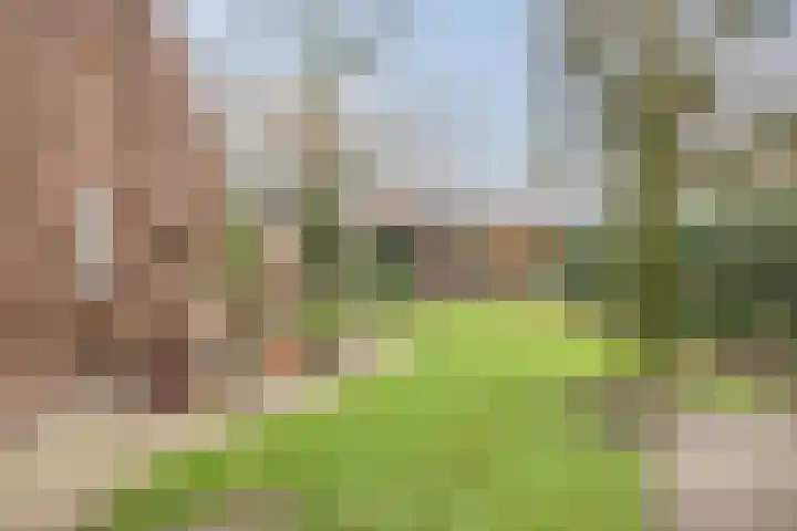 De Mortel 10 Hooge Mierde thumbnail 38