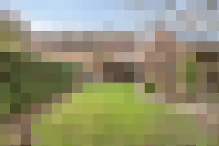 De Mortel 10 Hooge Mierde thumbnail 40
