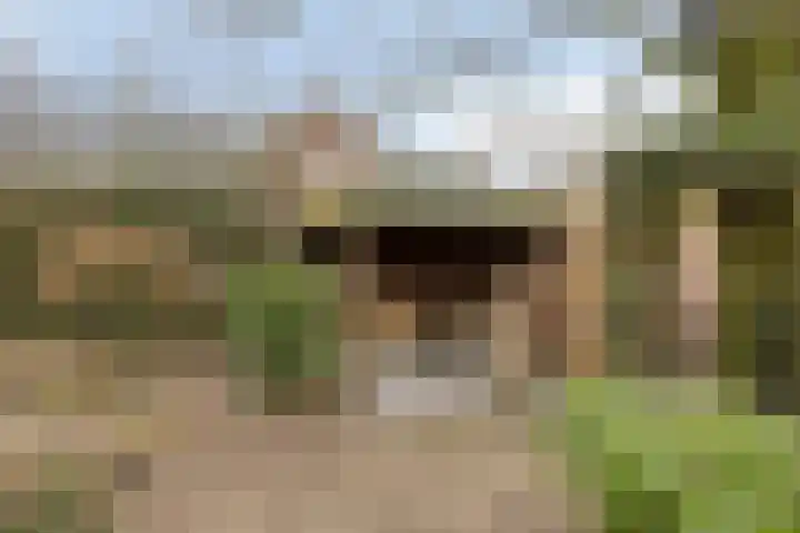 De Mortel 10 Hooge Mierde thumbnail 42
