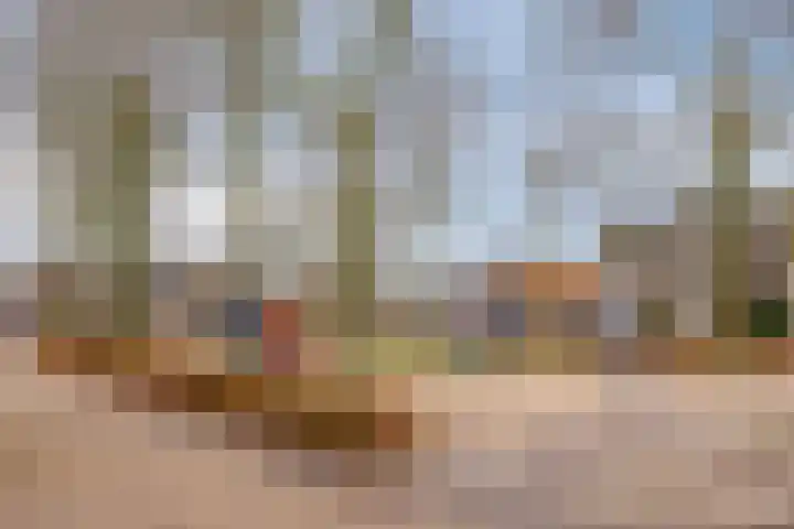 De Mortel 10 Hooge Mierde thumbnail 44