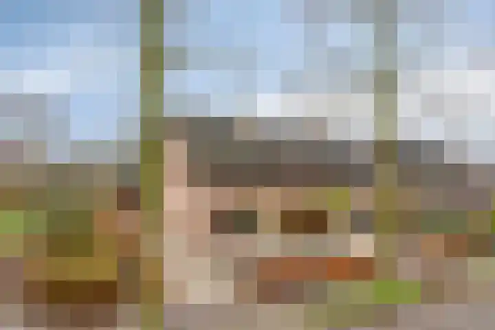 De Mortel 10 Hooge Mierde thumbnail 47