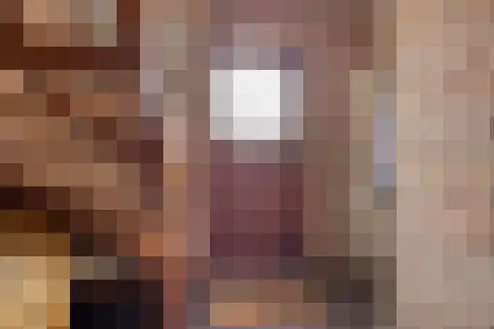 De Mortel 10 Hooge Mierde thumbnail 6