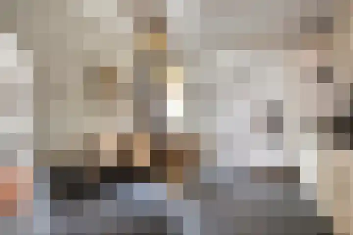 De Mortel 10 Hooge Mierde thumbnail 7