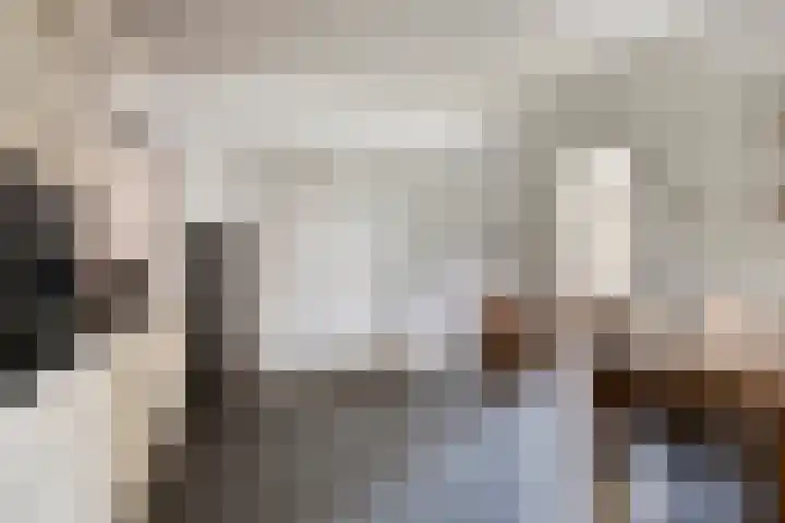 De Mortel 10 Hooge Mierde thumbnail 8