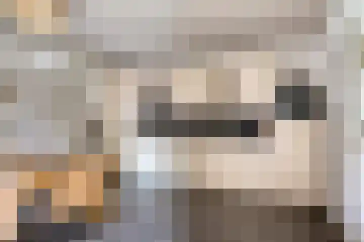 De Mortel 10 Hooge Mierde thumbnail 9