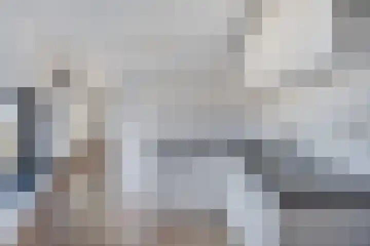 De Mui 37 Amersfoort thumbnail 10