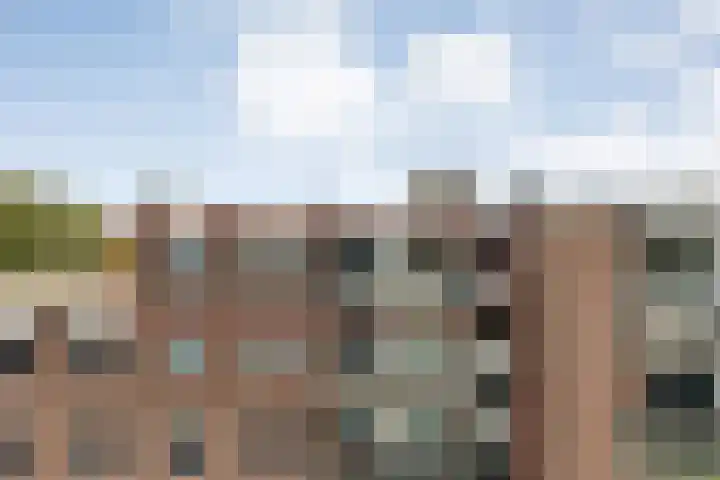 De Mulderij 406 in Hardenberg