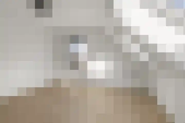 De Mulderij 5 Leusden thumbnail 20