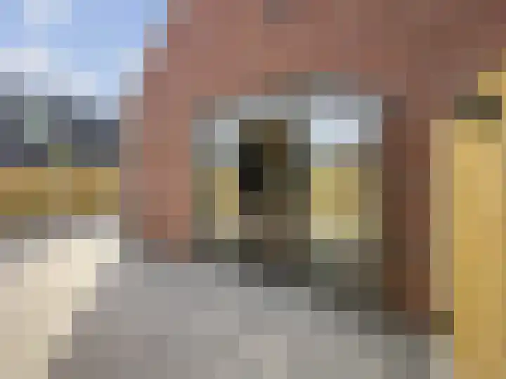 De Mulderij 5 Leusden thumbnail 27