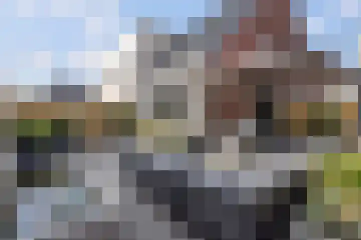 De Mulderij 5 Leusden thumbnail 29