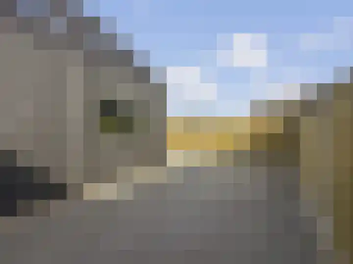 De Mulderij 5 Leusden thumbnail 31