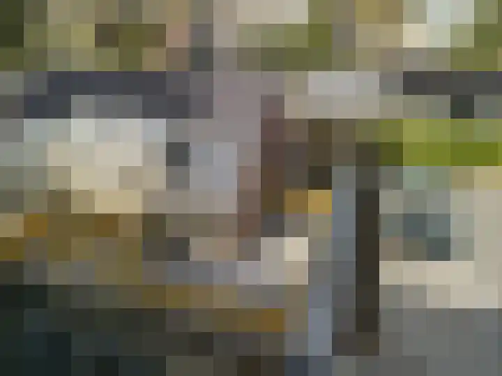 De Mulderij 5 Leusden thumbnail 39