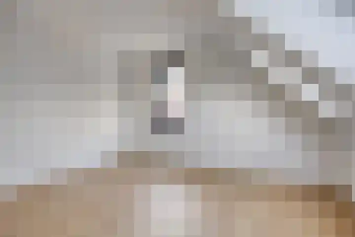 De Mulderij 9 Leusden thumbnail 13