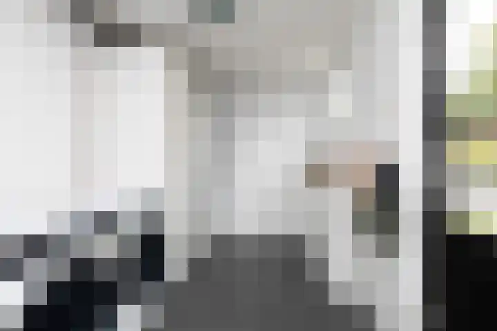 De Muonts 15 Witmarsum thumbnail 14