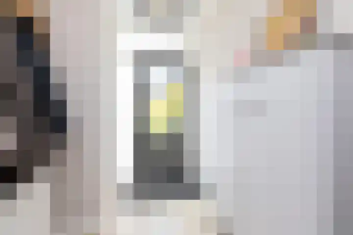 De Muonts 15 Witmarsum thumbnail 16