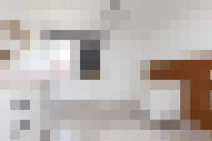 De Muonts 15 Witmarsum thumbnail 22