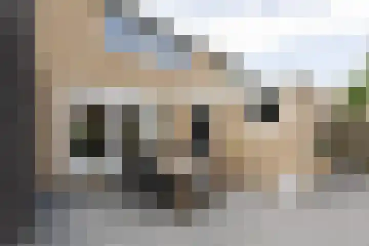 De Muonts 15 Witmarsum thumbnail 34
