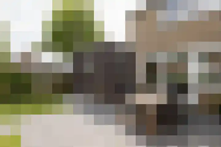 De Muonts 15 Witmarsum thumbnail 35