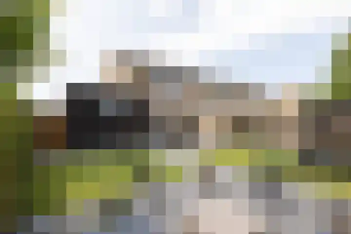 De Muonts 15 Witmarsum thumbnail 36