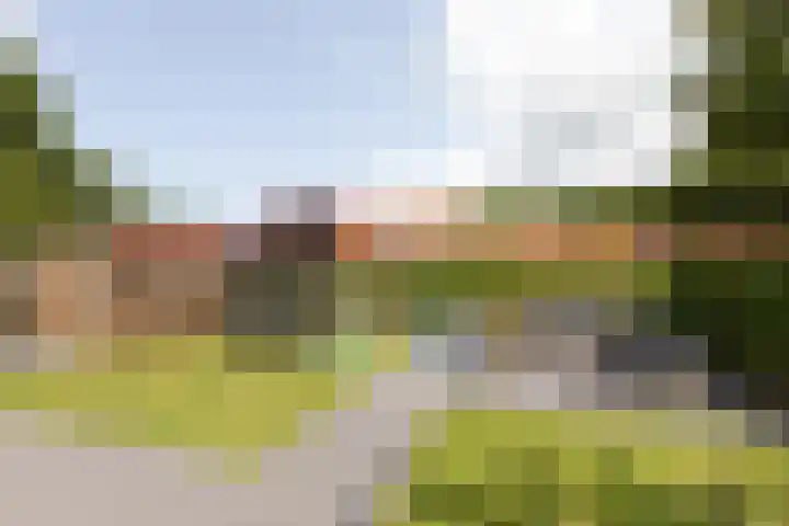 De Muonts 15 Witmarsum thumbnail 37