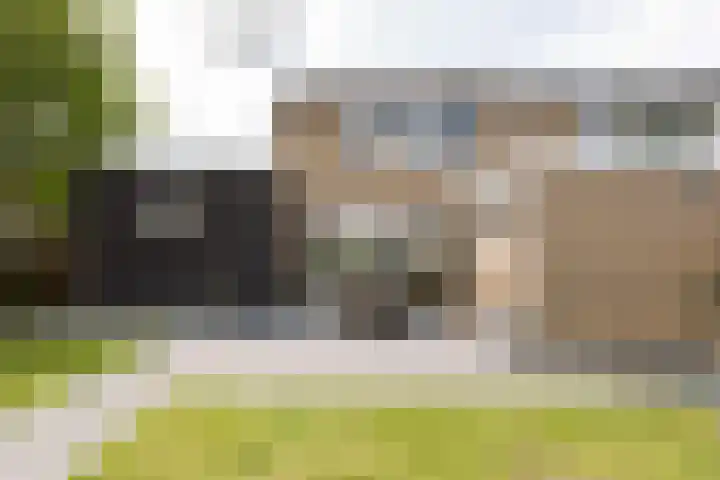 De Muonts 15 Witmarsum thumbnail 39