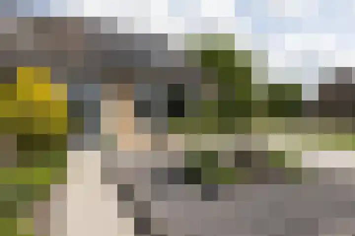 De Muonts 15 Witmarsum thumbnail 40