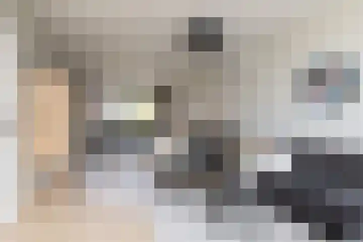 De Muonts 15 Witmarsum thumbnail 8