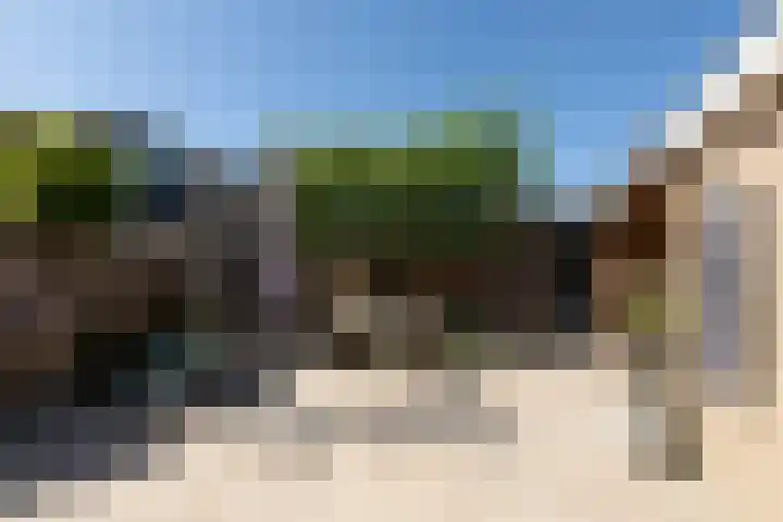 De Muonts 31 Witmarsum thumbnail 36