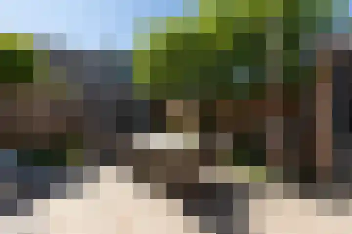 De Muonts 31 Witmarsum thumbnail 37
