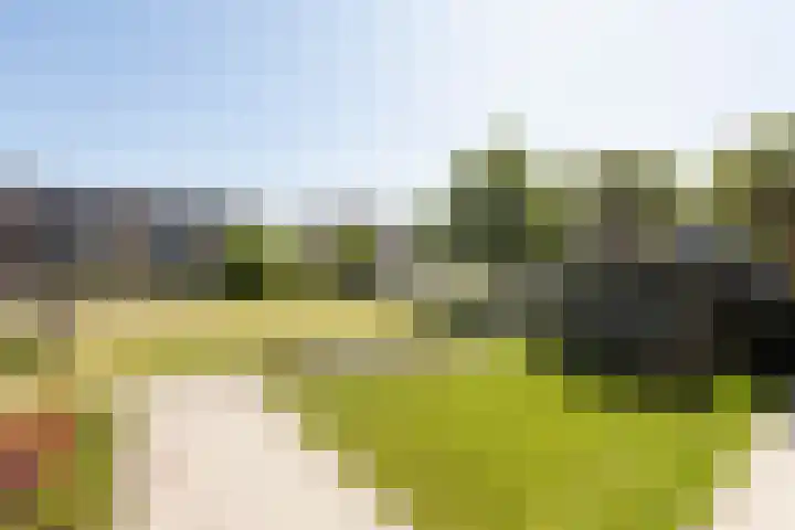 De Muonts 31 Witmarsum thumbnail 43