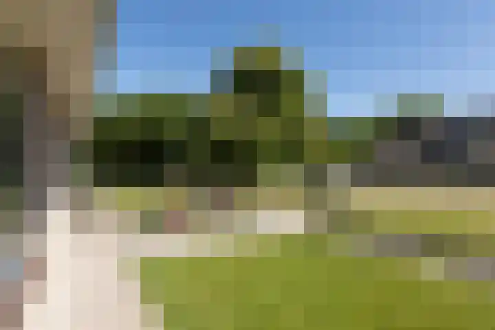 De Muonts 31 Witmarsum thumbnail 44
