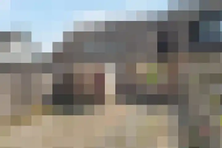 De Muonts 75 Witmarsum thumbnail 18