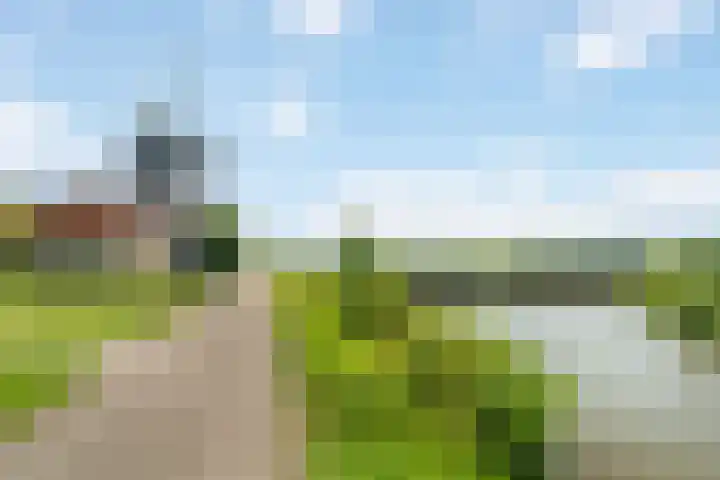 De Muonts 75 Witmarsum thumbnail 31