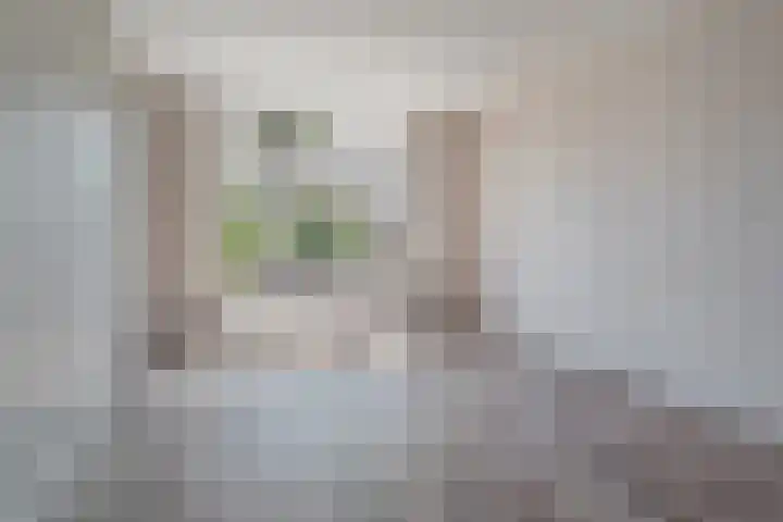 De Muonts 75 Witmarsum thumbnail 8