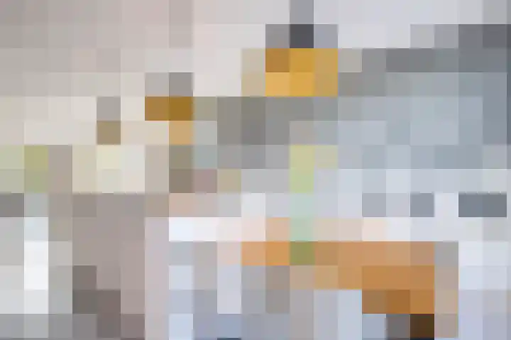 De Mus 3 Schoonhoven thumbnail 11