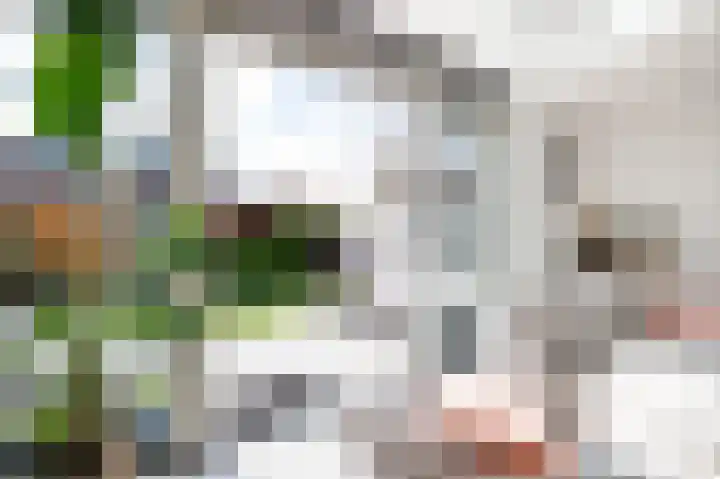 De Mus 3 Schoonhoven thumbnail 18