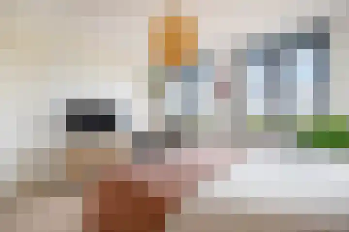 De Mus 3 Schoonhoven thumbnail 27