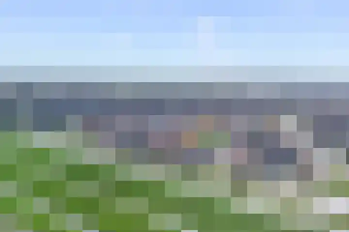 De Mus 3 Schoonhoven thumbnail 45