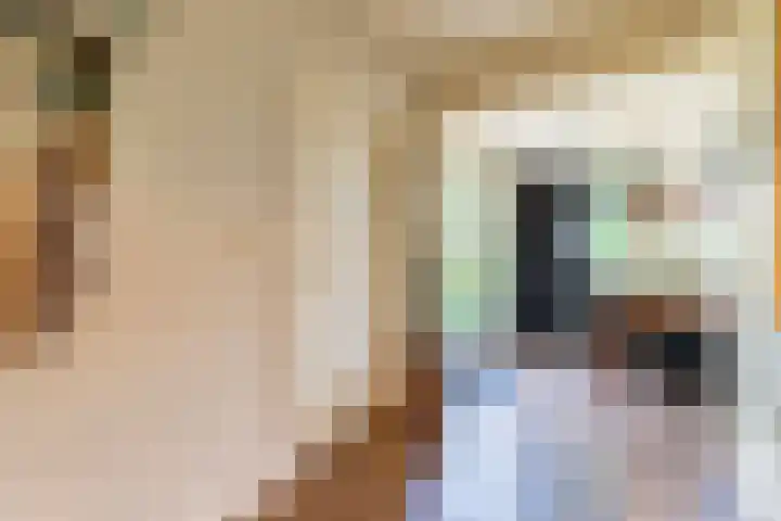 De Mute 6 Den Ham thumbnail 17