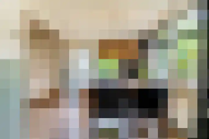 De Mute 6 Den Ham thumbnail 20