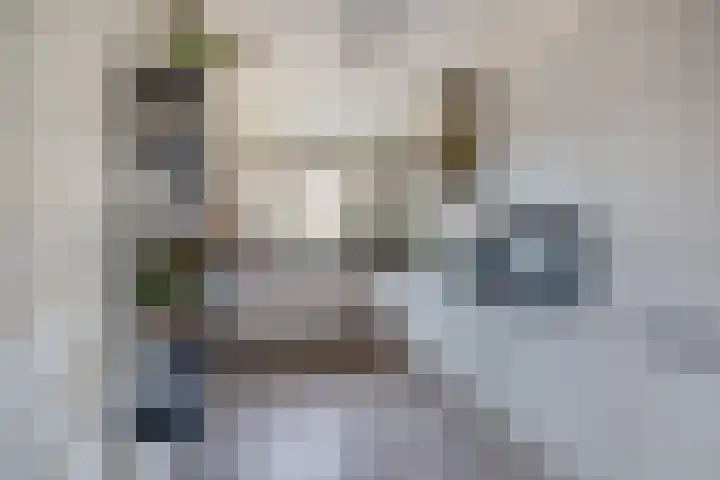 De Mute 6 Den Ham thumbnail 26
