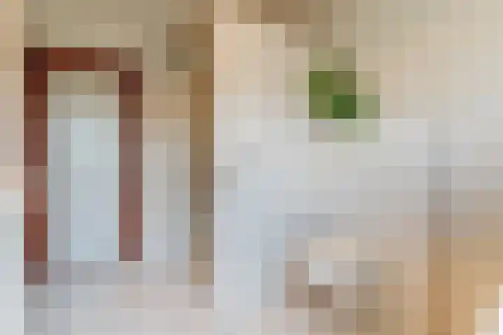 De Mute 6 Den Ham thumbnail 32