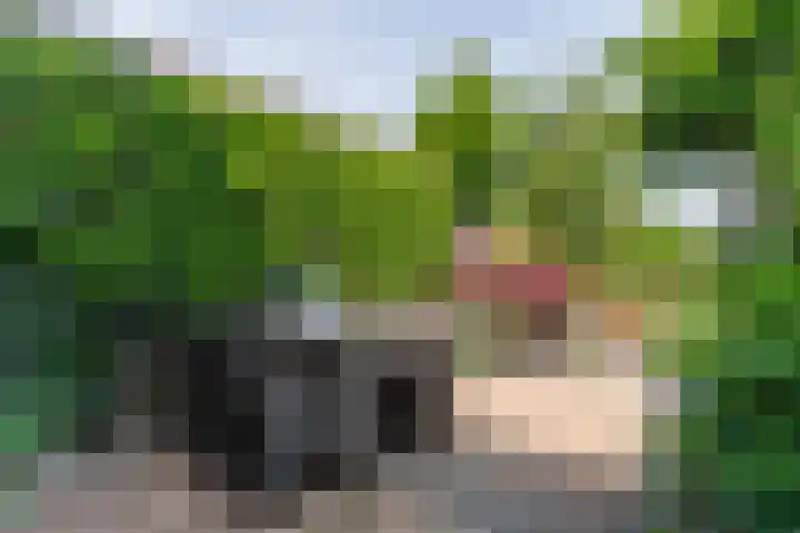 De Mute 6 Den Ham thumbnail 39