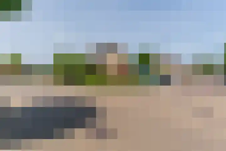 De Mute 6 Den Ham thumbnail 4