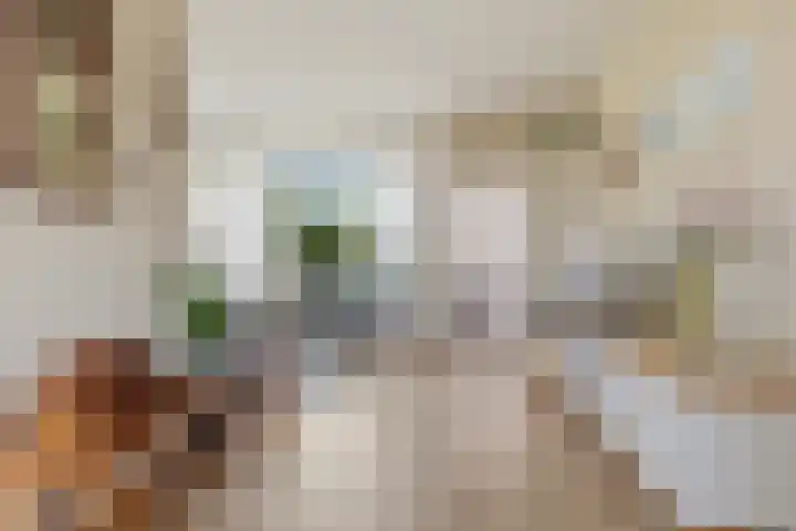 De Mute 6 Den Ham thumbnail 42