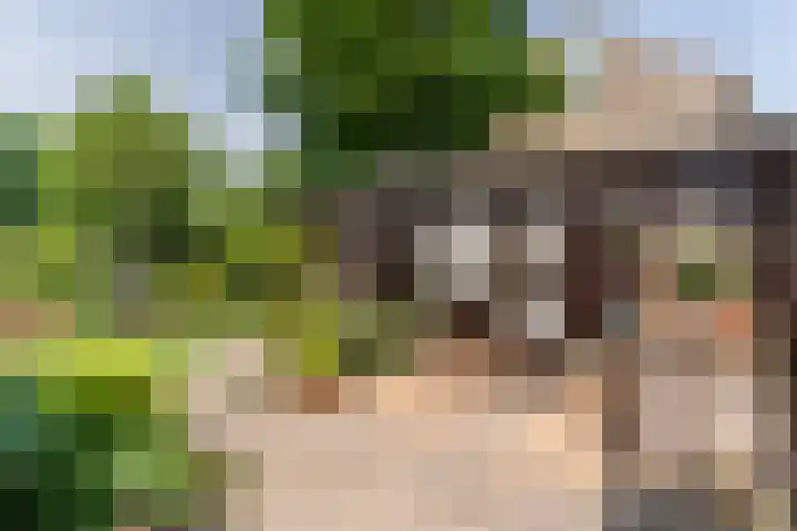 De Mute 6 Den Ham thumbnail 43
