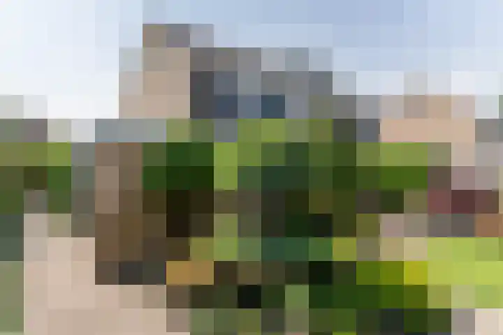 De Mute 6 Den Ham thumbnail 46