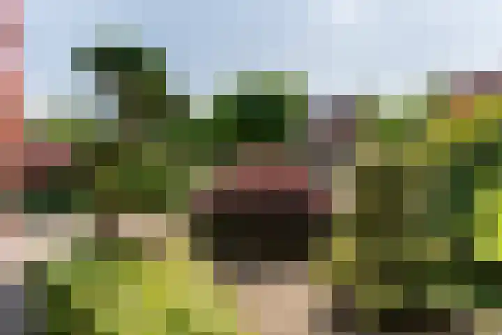 De Mute 6 Den Ham thumbnail 5