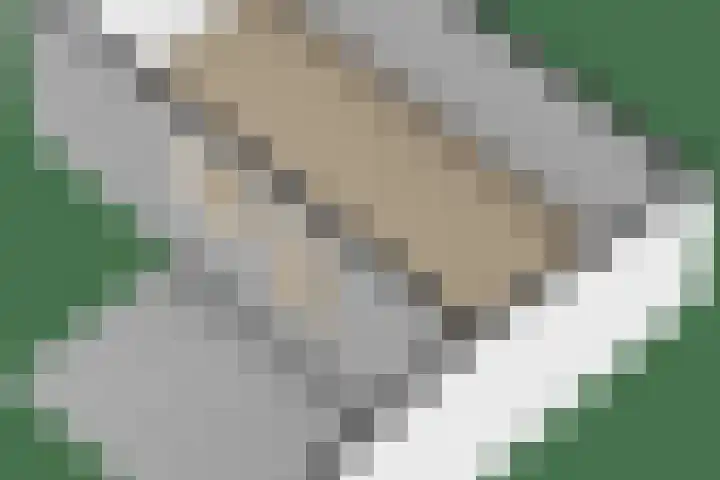 De Mute 6 Den Ham thumbnail 55