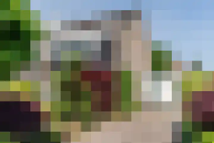 De Mute 6 Den Ham thumbnail 57